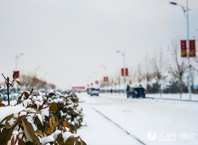 疑是林花昨夜開！雄安迎來2018年第一場雪