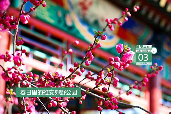                        ●雄安：大規(guī)模形態(tài)開發(fā)正向功能開發(fā)、平臺開發(fā)推進(jìn)。●雄才卡線上申領(lǐng)工作常態(tài)化，每月1日-10日可申報。●青年人才驛站、青年人才公寓入住申請工作啟動。●雄安昝崗組團(tuán)有23個地點(diǎn)正式命名。●雄安招人，從事水利泵站建設(shè)、運(yùn)營相關(guān)工作。            
