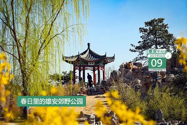             ●雄安外圍骨干交通路網(wǎng)、內(nèi)部骨干道路體系基本成形。●雄安國貿(mào)中心即將轉(zhuǎn)入地下主體結(jié)構(gòu)施工。●營造“園在城中”的綠色生活環(huán)境，雄安容東真不錯。●白洋淀新出行方式即將正式亮相。???            