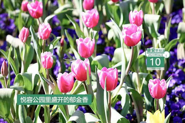            ●雄安新區(qū)管委會與中國兒童中心簽署戰(zhàn)略合作協(xié)議。●河北新官宣：加快建設(shè)雄安新區(qū)全球創(chuàng)新高地。●雄安自助辦系統(tǒng)投用，可辦53項本地事項。●雄安容西片區(qū)有了“健康小屋”。???            
