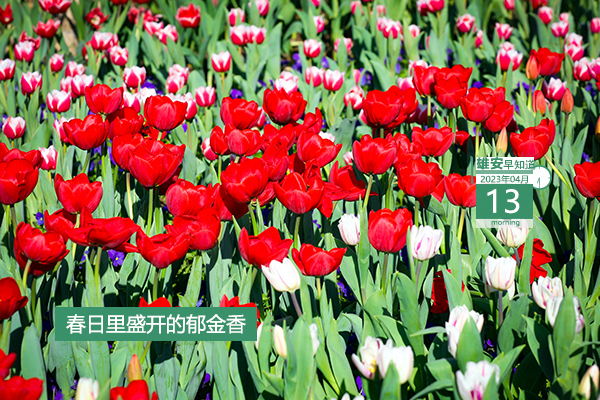             ●“雄創(chuàng)計劃”來了，最高可得600萬啟動資金。●世界首創(chuàng)！新型地?zé)崮馨l(fā)電系統(tǒng)在雄安試車。●白洋淀“水上巴士”預(yù)計本月底運(yùn)行。●雄安一企業(yè)招聘24人，報名截至5月20日。???            