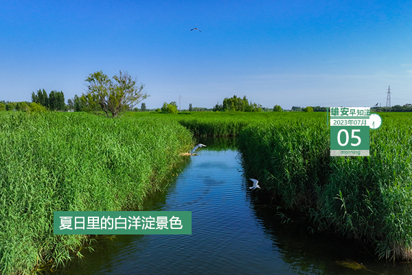                         ●雄安將重點(diǎn)推進(jìn)雄安工業(yè)設(shè)計“五個一工程”。●雄安職工門（急）診醫(yī)療費(fèi)用支付規(guī)定來了。●雄安綜保區(qū)有7大功能區(qū)，計劃重點(diǎn)發(fā)展4大產(chǎn)業(yè)。●雄安雄東片區(qū)B單元新增47座樓棟封頂。 