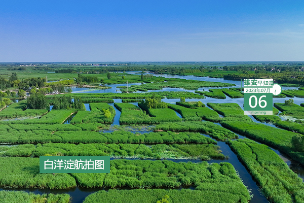                         ●深圳：不斷加強(qiáng)與雄安建設(shè)的對接聯(lián)動，深化各領(lǐng)域深層次務(wù)實合作。●雄安新區(qū)職工住房公積金繳存基數(shù)有調(diào)整。●重點(diǎn)解決社區(qū)內(nèi)問題，雄安容東探索建立“一呼聯(lián)應(yīng)”機(jī)制。●雄安新區(qū)中考成績一分一檔統(tǒng)計表公布。 