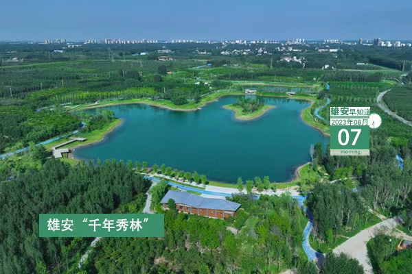                         ●張國華：著力提高新區(qū)防汛科學(xué)調(diào)度和河流行洪能力，盡最大可能減輕行洪對農(nóng)作物、農(nóng)房和群眾生活的影響。●雄安新區(qū)各重點(diǎn)項目已陸續(xù)開始施工。●雄安開展全方位衛(wèi)生防疫消殺工作。●注意，安新縣稅務(wù)局今日搬遷至新地點(diǎn)。 