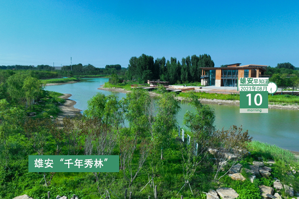                         ●關(guān)于地?zé)嵘a(chǎn)井鉆井技術(shù)，雄安一新規(guī)印發(fā)。●雄安中院全省率先開啟“無紙化辦案”新模式。●注意，雄安2023年“三支一扶”招募人員體檢通知發(fā)布。●好消息！雄東B單元安置房各標(biāo)段工程均已復(fù)工。 