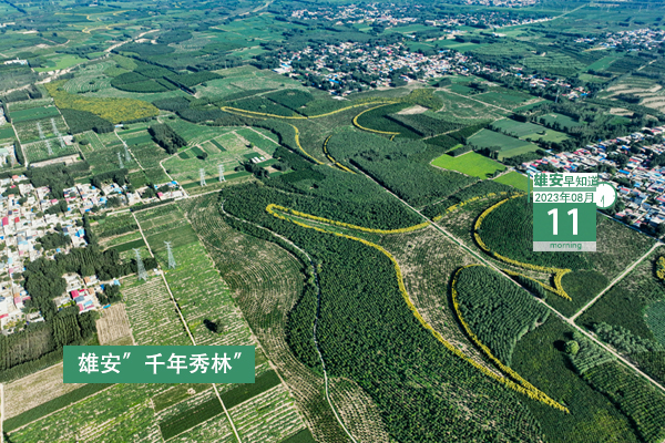                         ●目前，新區(qū)防汛抗洪工作總體形勢平穩(wěn)。●184億→2554億，雄安本外幣貸款余額6年增長近14倍。●雄安第三屆集體婚禮來了！●雄安一人獲國家級榮譽(yù)稱號。 