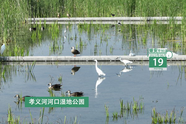                         ●院士專家齊聚雄安，就生物醫(yī)藥產(chǎn)業(yè)發(fā)展做研討。●雄安印發(fā)新方案，聚焦解決企業(yè)問題癥結(jié)。●雄安擬推薦省見義勇為英雄（群體）候選人正在公示。●雄縣事業(yè)單位招聘人員筆試時間確定。 