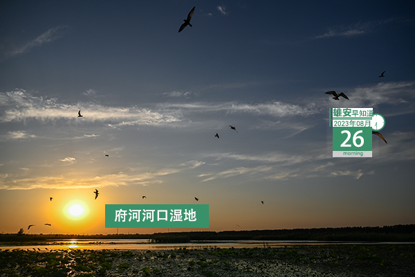                         ●張國華：加快打造高水平城市大腦，努力讓城市更聰明、治理更精細(xì)。●雄安實現(xiàn)醫(yī)保權(quán)益實時到賬。●雄安新區(qū)：藍(lán)綠交織，水城一體，優(yōu)美畫卷徐徐鋪展。●雄安新選聘骨干教師人員正在公示→  
