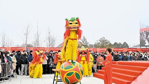 1月31日，“春節(jié)·雄安獅舞大會”精彩啟幕。圖為雄安洪亮龍獅隊正在表演《金珠鬧春》。本報記者 郝金鈺攝