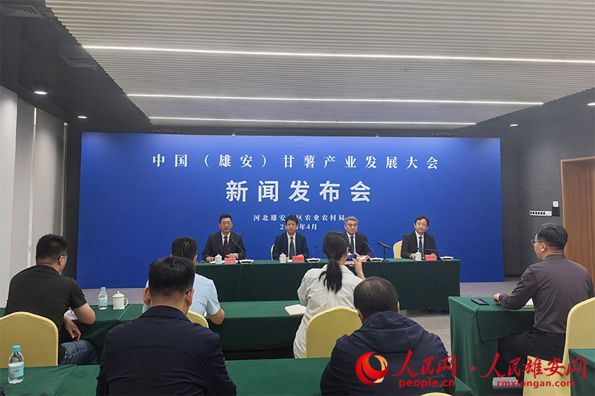 中國(guó)（雄安）甘薯產(chǎn)業(yè)發(fā)展大會(huì)新聞發(fā)布會(huì)現(xiàn)場(chǎng)。王紅攝